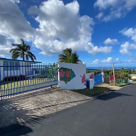 Villa Million Dollar View In Puerto Rico à Luquillo Extérieur photo