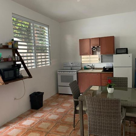Villa Million Dollar View In Puerto Rico à Luquillo Extérieur photo