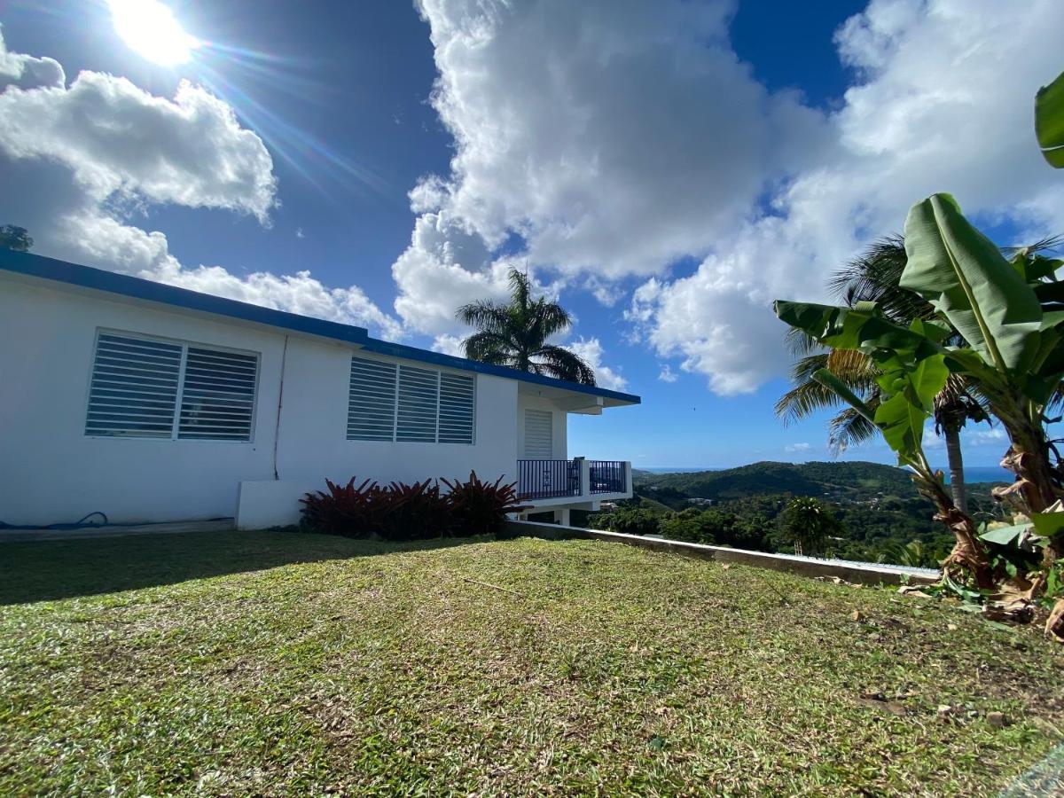 Villa Million Dollar View In Puerto Rico à Luquillo Extérieur photo