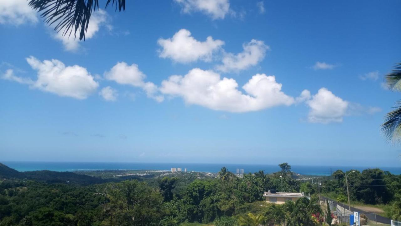Villa Million Dollar View In Puerto Rico à Luquillo Extérieur photo