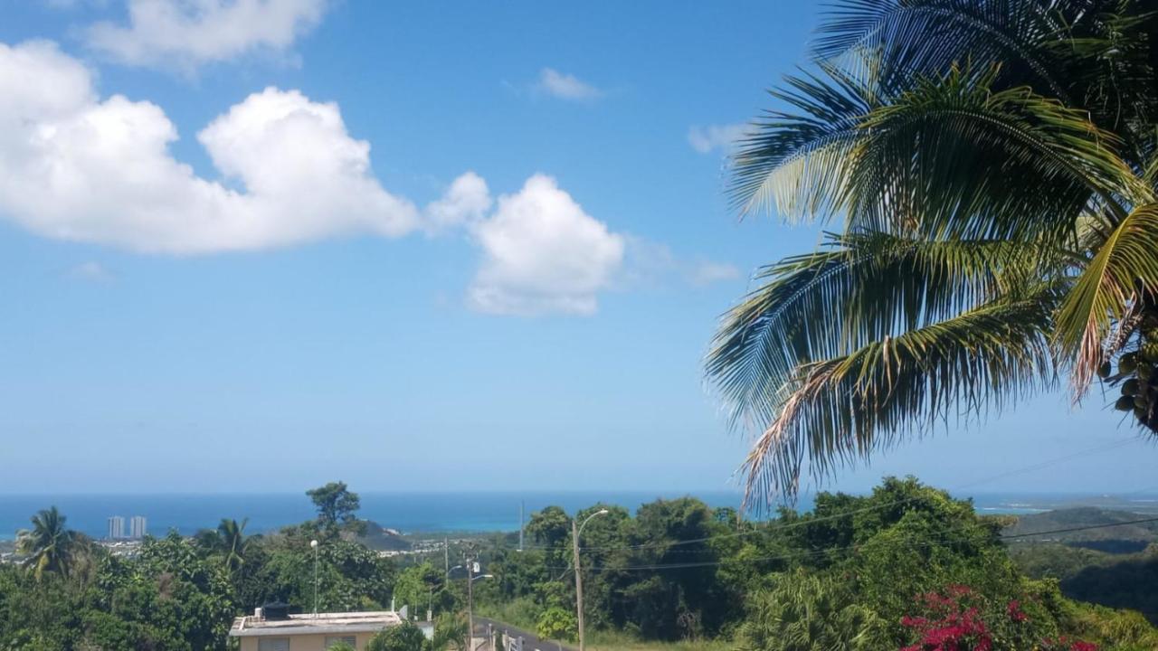 Villa Million Dollar View In Puerto Rico à Luquillo Extérieur photo