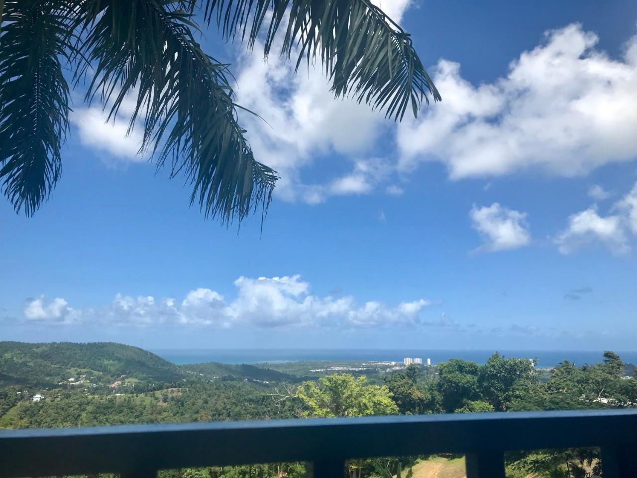Villa Million Dollar View In Puerto Rico à Luquillo Extérieur photo