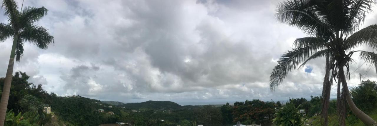 Villa Million Dollar View In Puerto Rico à Luquillo Extérieur photo
